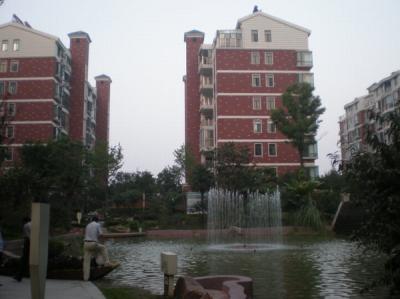 圖片10